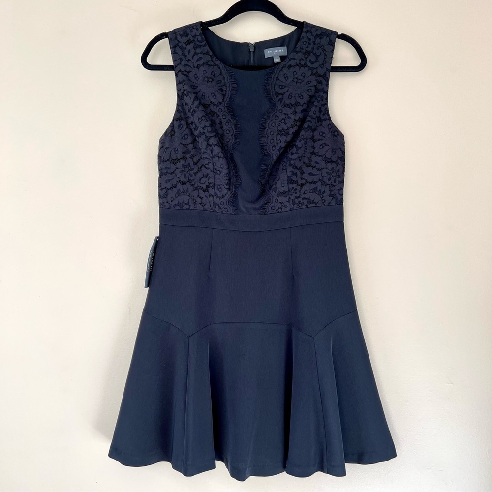NWT The Limited Lace Fit and Flare Dress